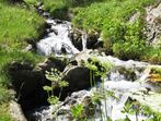 Wildbach im Pensertal Wildbach im Pensertal