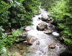 Wildbach im Pensertal Wildbach im Pensertal