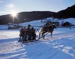 Pferdeschlitten fahren im Sarntal Pferdeschlitten fahren im Sarntal