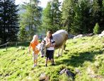 Almzauber im Sarntal Almzauber im Sarntal